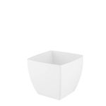 MKP004906000187-1