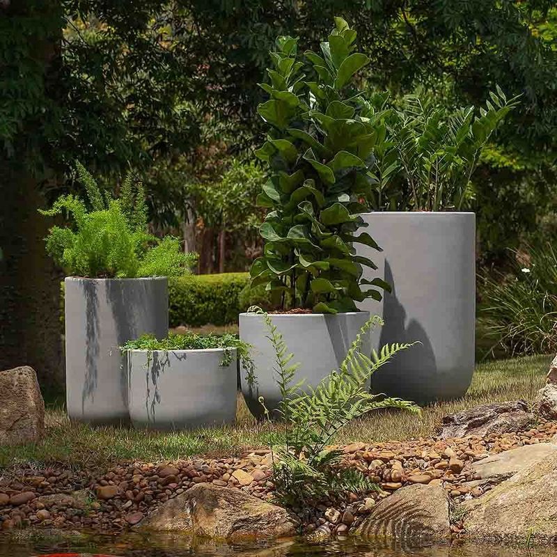 MKP004906000556-3