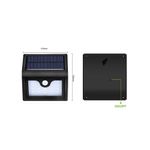 LS0213611020212221-3