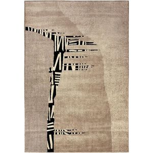 Tapete Para Sala Ancestralidade Fossil 2,00x2,90 São Carlos