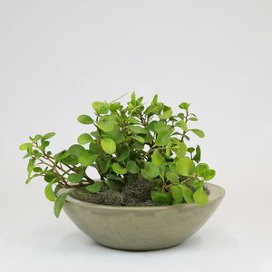 Vaso Verona Bowl 36 X 12 Cm Cor 05 - Antique Camurça