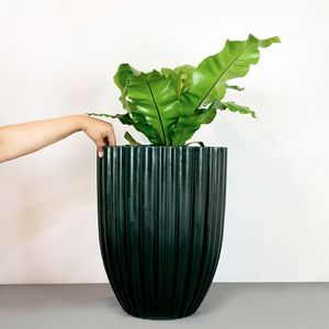 Vaso Redondo Cacau 32 X 46 Cm Cor 33 - Antique Verde