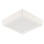 MKP004869000256-2