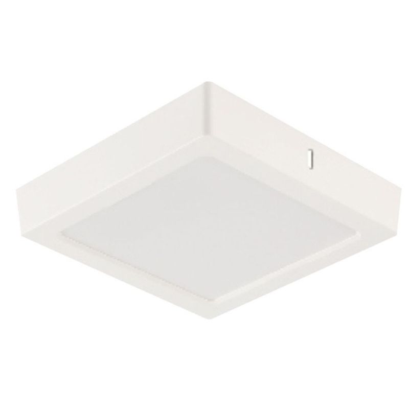 MKP004869000256-2