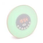 MKP004844000599-2