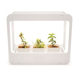 Plantario Indoor Com Led Horta Da Casa