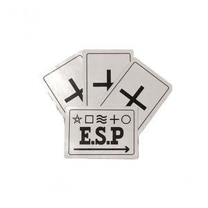 E.s.p Damien Vappereau