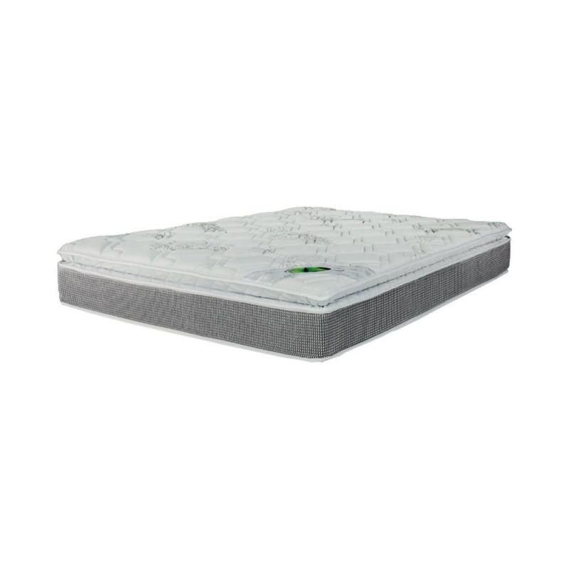 MKP004606060599-1
