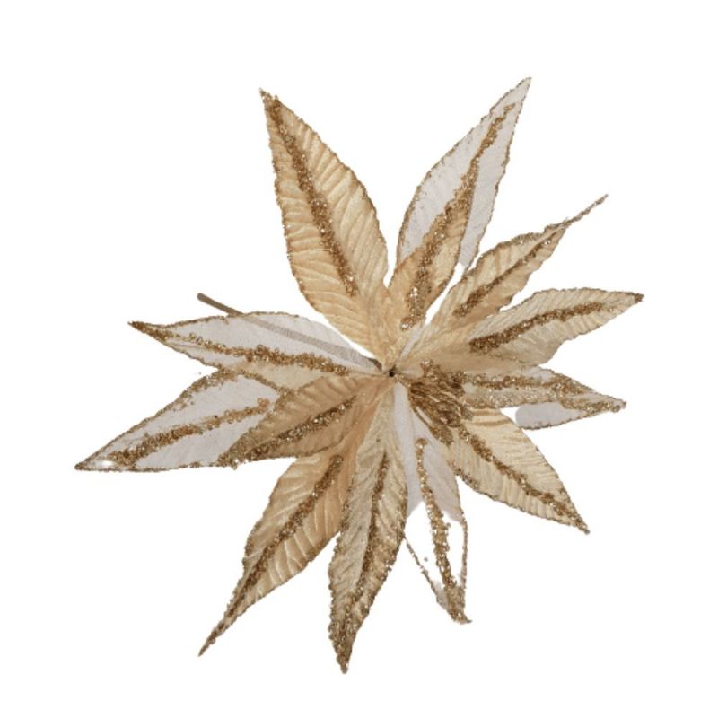 MKP004595001734-1