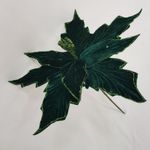 MKP004595001696-2