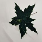 MKP004595001696-3