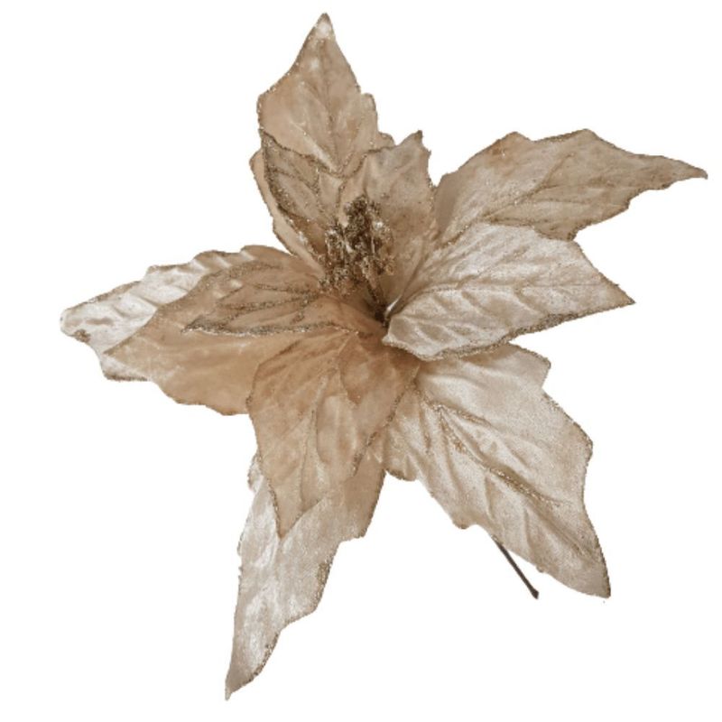 MKP004595001748-1