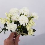 MKP004595001723-4