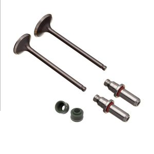 Kit Valvula Ww3 (6pcs) Cbx 200