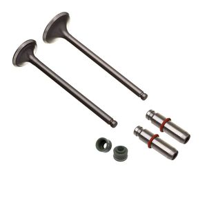 Kit Valvula Ww3 (6pcs) Cg 125 92-01 Oversize +0.30mm