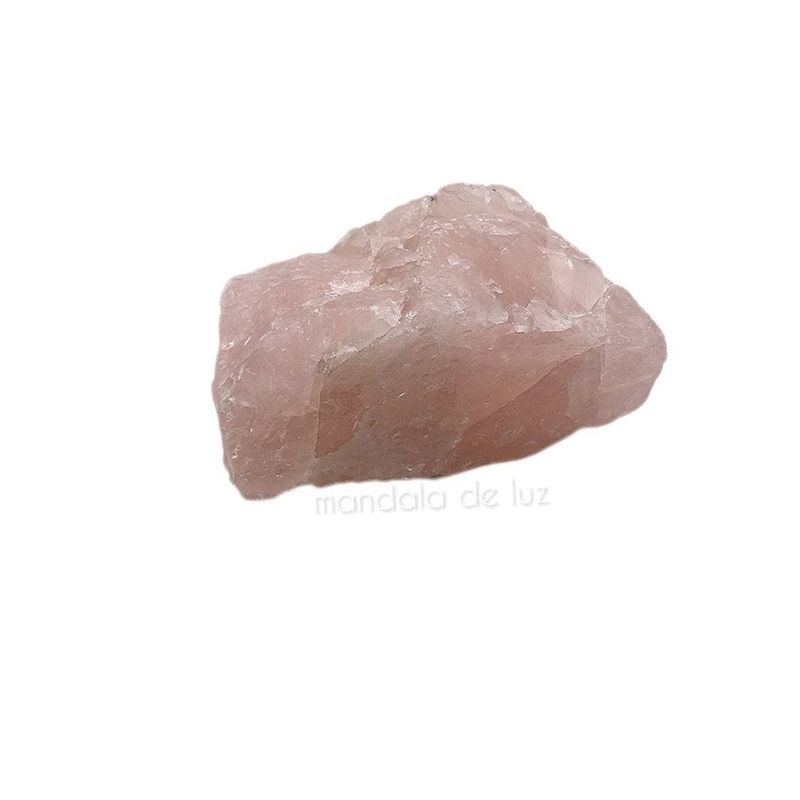 MKP002071001556-2
