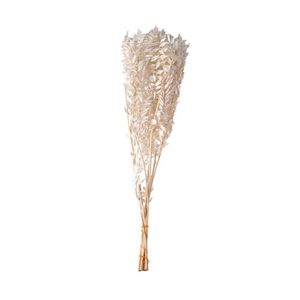 Flor Mart Minirruscus Preservada