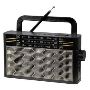 Radio Portatil Ecopower Ep-f212b - Usb/ Sd/ Aux - Am/ Fm/ Sw - Recarregavel - Preto E Cinza