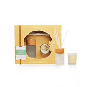 Kit óleo Difusor De Aromas 70ml + Vela Perfumada 50g Naturals Acqua Aroma Alecrim