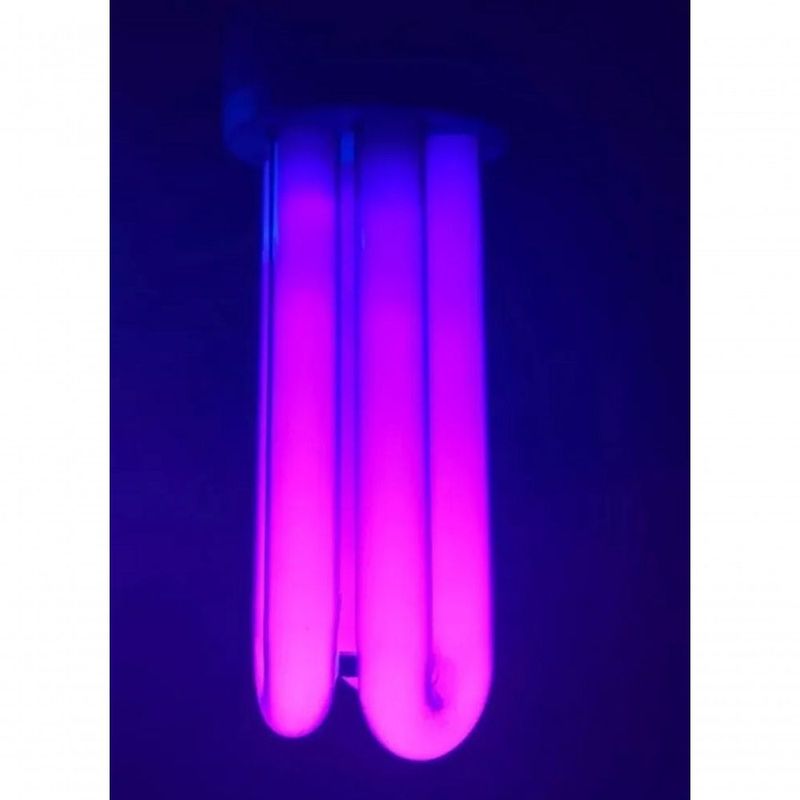 MKP003332000184-2