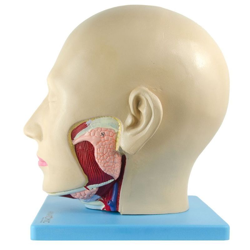 MKP001043000100-3