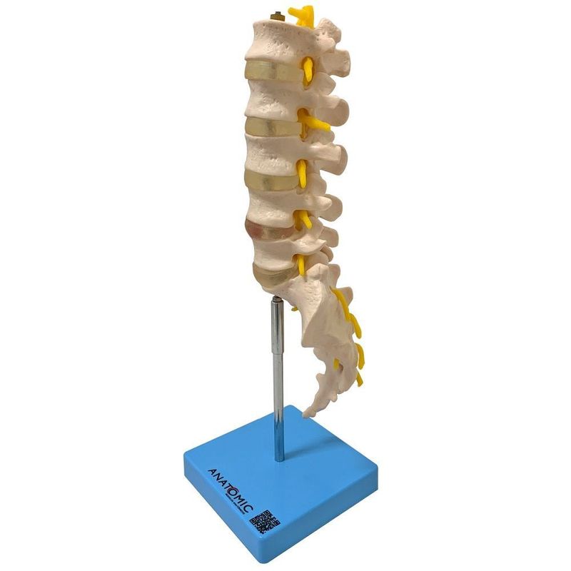 MKP001043000170-3