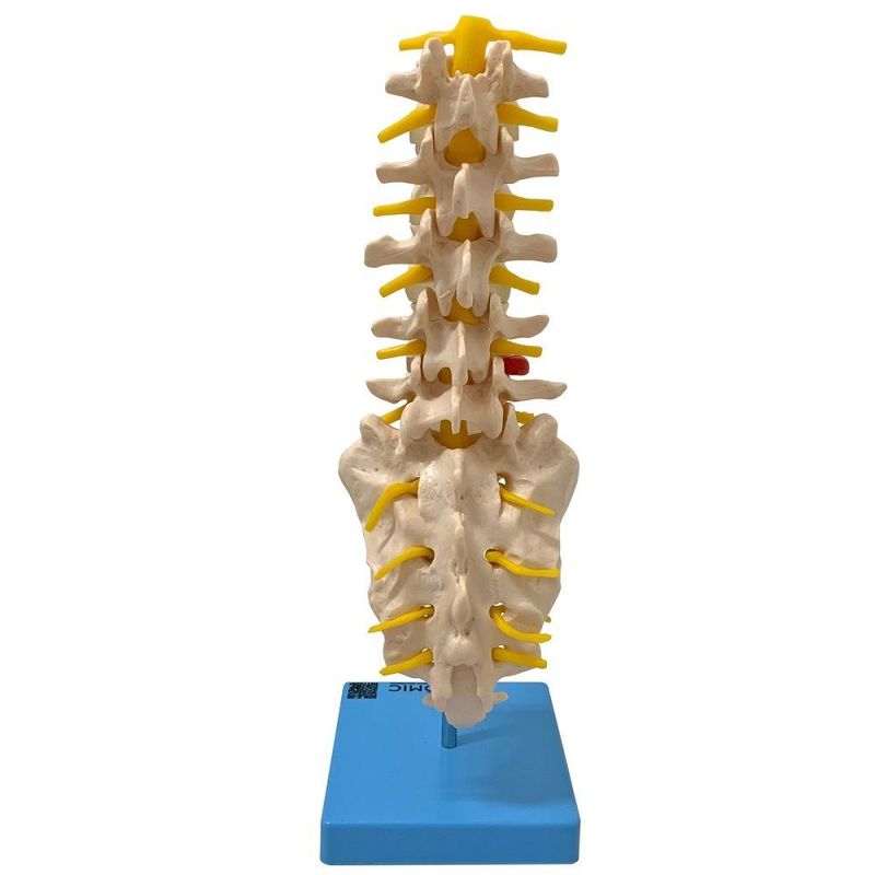 MKP001043000170-4