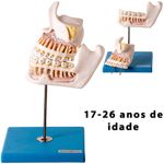 MKP001043000242-2
