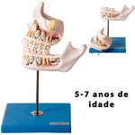 MKP001043000242-3