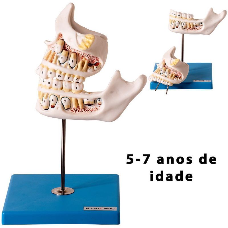 MKP001043000242-3