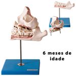 MKP001043000242-4