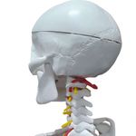 MKP001043000280-5