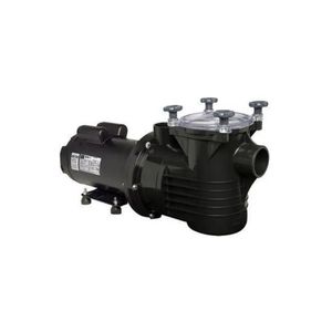 Bomba Para Piscina Pf-22 3 Cv Monofásico Motor Weg 110/220v