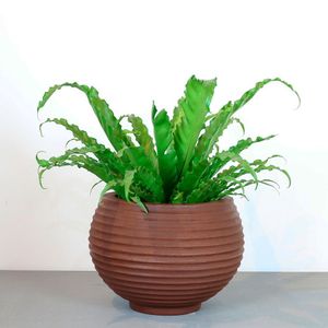 Vaso Bromélia 26 X 24 Cm Cor 09 - Antique Rusty