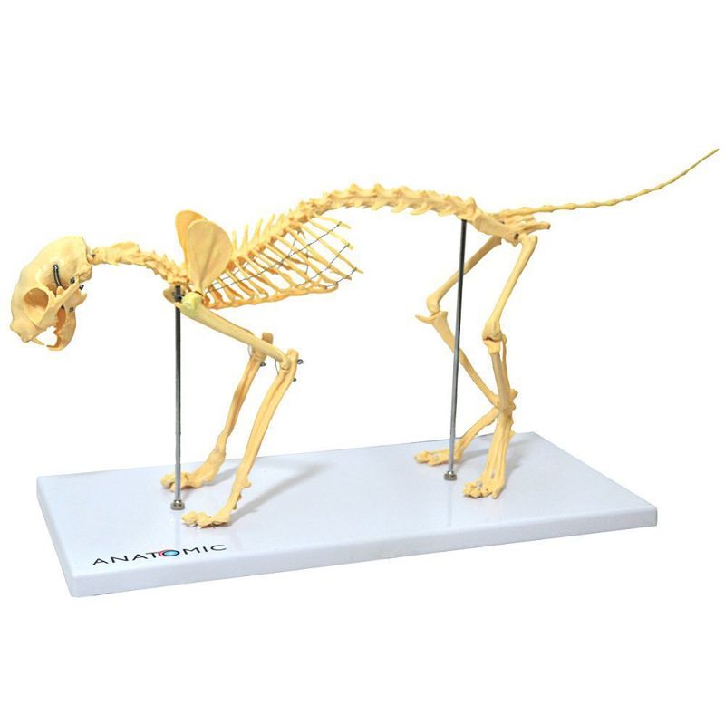 MKP001043000266-1