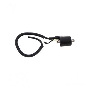 Bobina Ignicao Condor 12v Pop 100 [f016]
