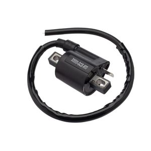 Bobina Ignicao Condor 12v Biz 100 -05 [f016]