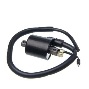 Bobina Ignicao Condor 12v Biz 125 05 A 08 [f016]