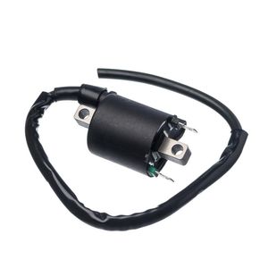 Bobina Ignicao Condor 12v Cg 150 2009- [f016]