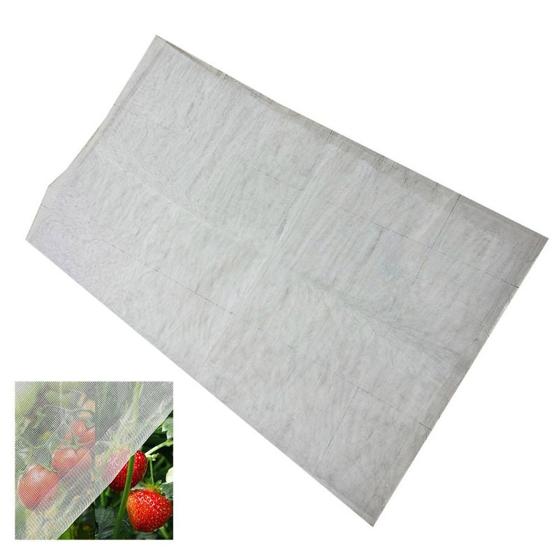 MKP004202000629-1