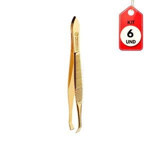 Kit C/06 Mundial Bc384 Gold Pinça