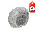 MKP004805002982-1