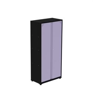 Armário De Aço 2 Portas 3 Prateleiras Ap408sl Preto/lilás