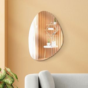 Espelho Decorativo Orgânico 90cmx60cm E02 Incolor