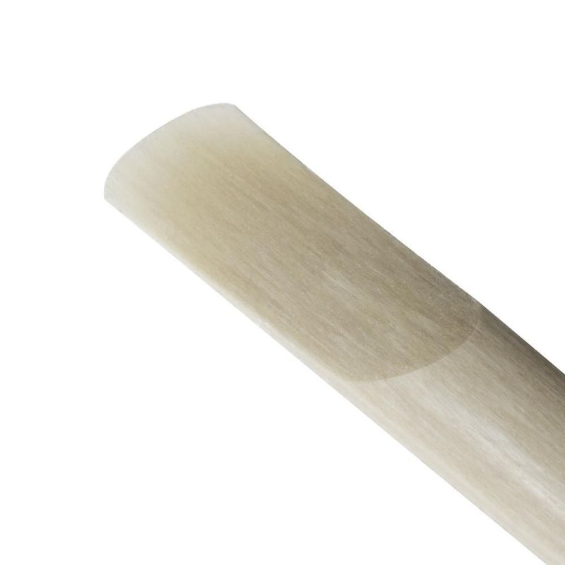 MKP005073012159-5