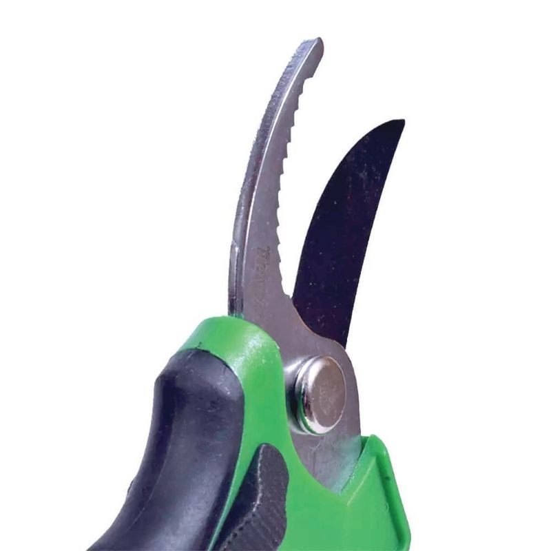 MKP005214000032-2