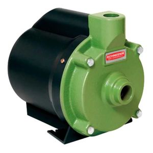 Motobomba Residencial Schneider Bcr-2000 1/2cv 220v