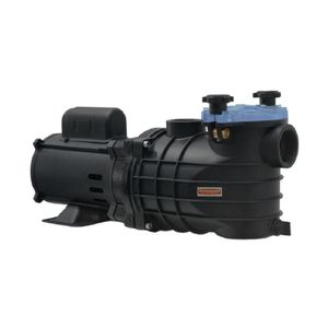 Motobomba Centrifuga Schneider Eko Piscina 1,5cv 2" 220/380v