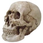 MKP005100001158-1