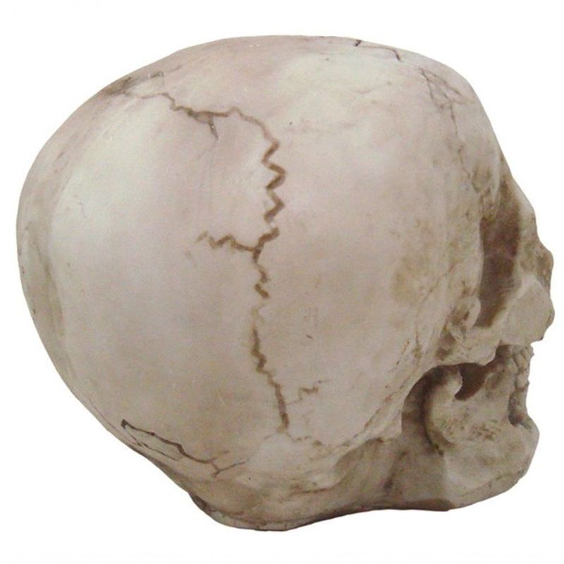 MKP005100001158-2